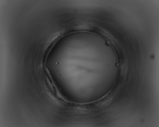 X0000091500729200708301957