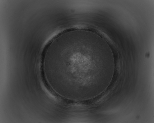 X0000091500730200708301957