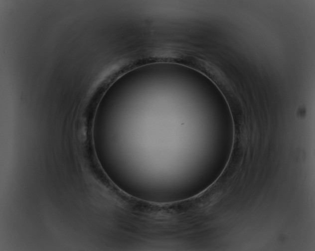 X0000091500731200708301957