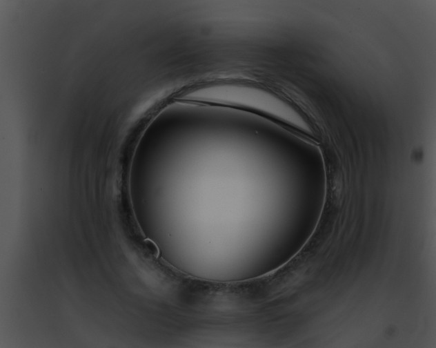 X0000091500732200708301957