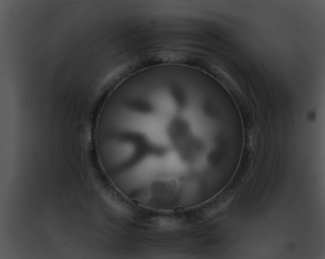 X0000091500733200708301957