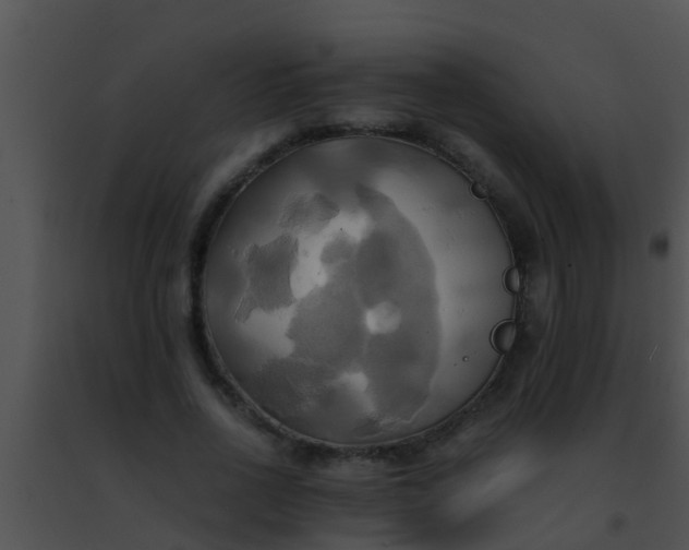 X0000091500734200708301957