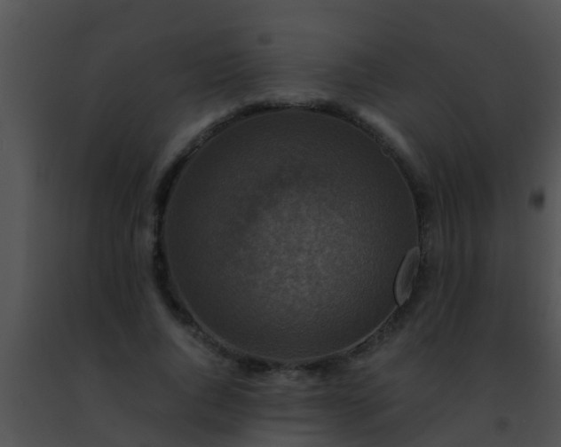 X0000091500736200708301957