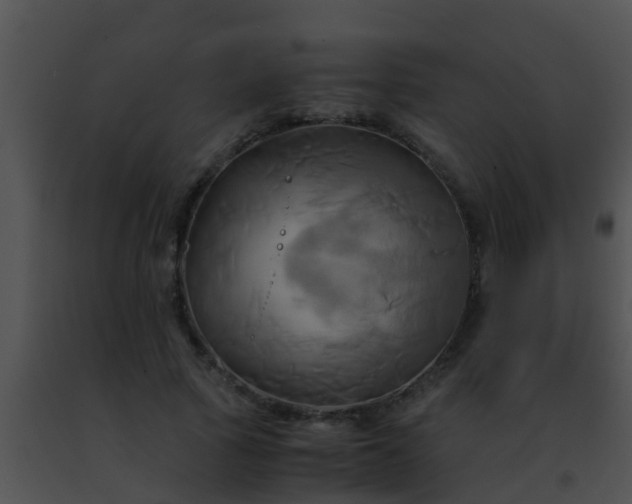 X0000091500737200708301957