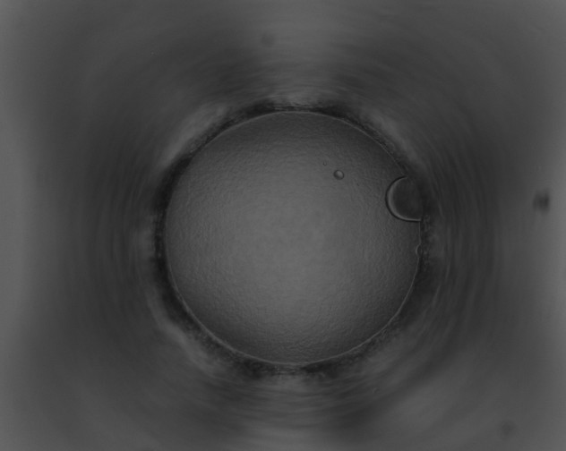 X0000091500738200708301957