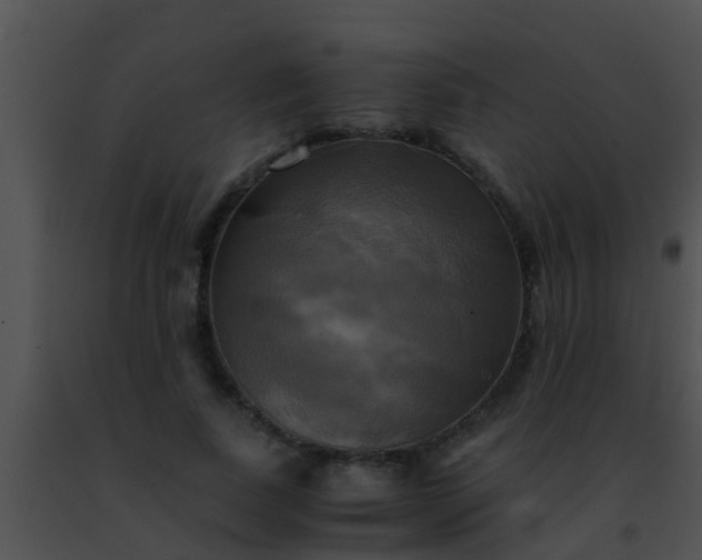 X0000091500739200708301957