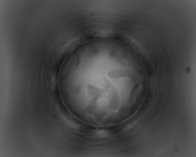 X0000091500741200708301957