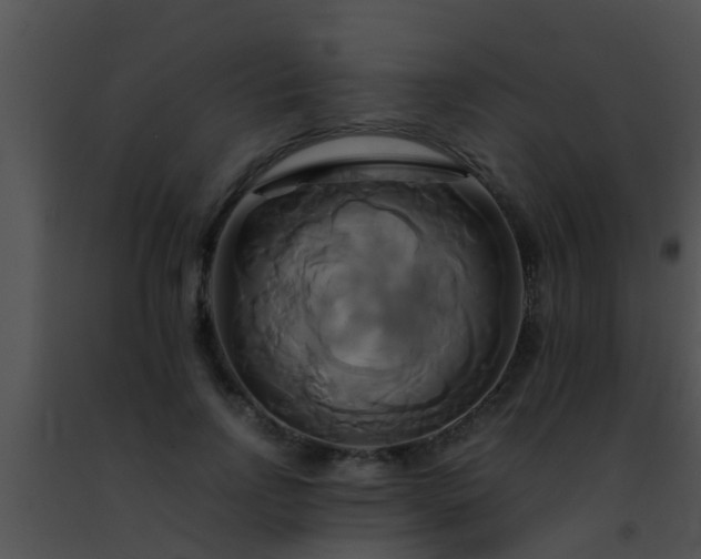 X0000091500742200708301957