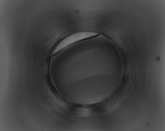 X0000091500743200708301957