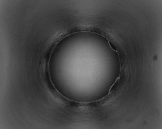 X0000091500744200708301957