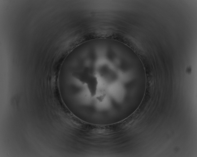 X0000091500745200708301957