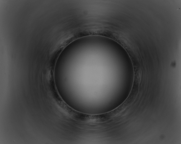 X0000091500746200708301957