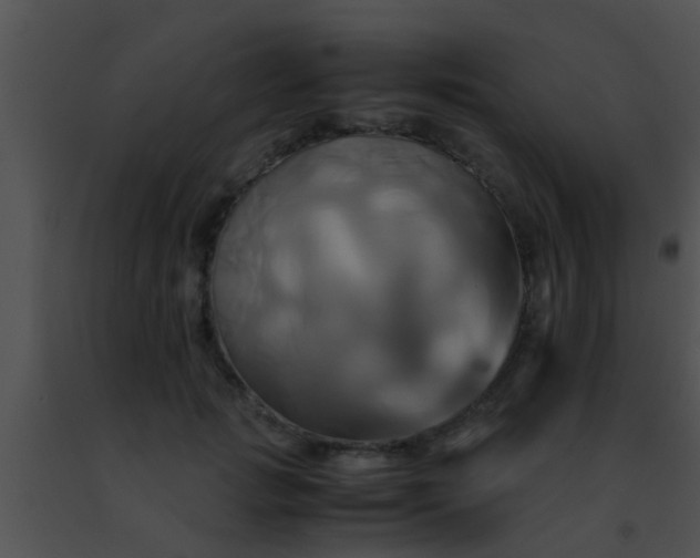 X0000091500749200708301957