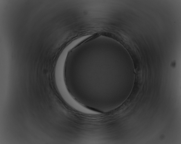 X0000091500750200708301957