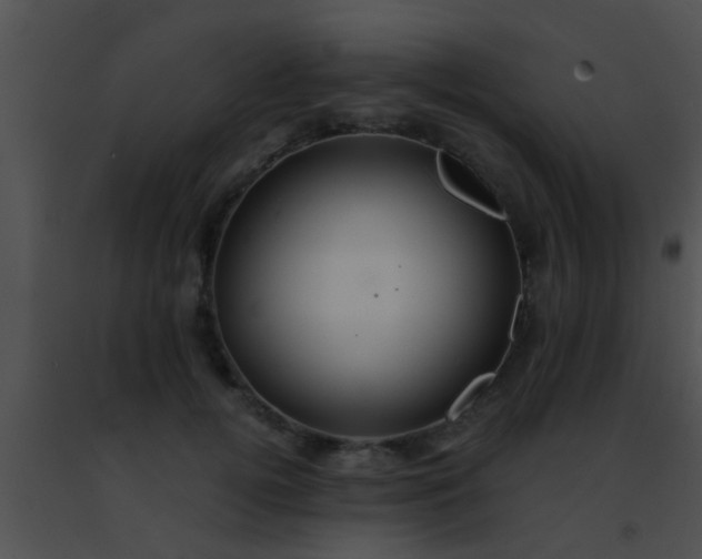 X0000091500752200708301957