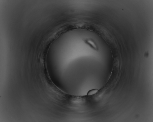 X0000091500754200708301957