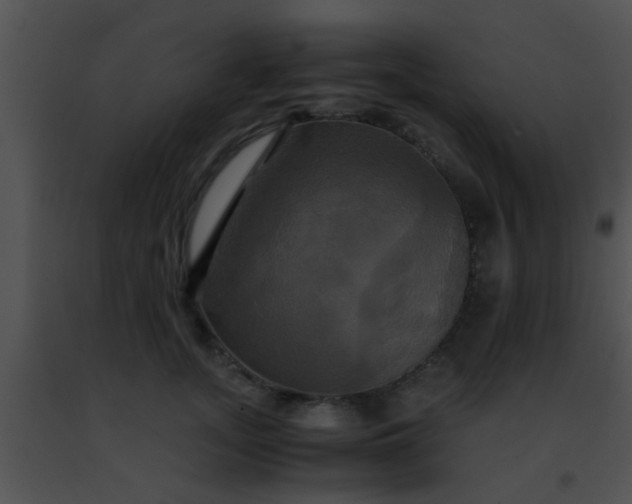 X0000091500755200708301957