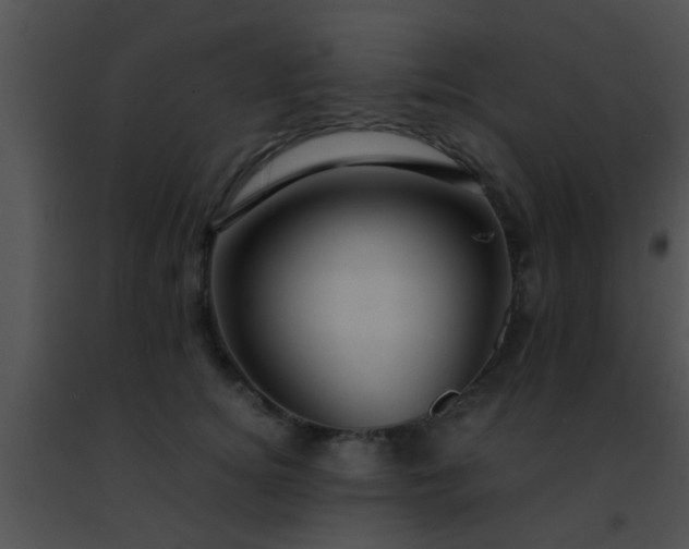 X0000091500756200708301957