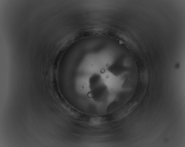 X0000091500757200708301957