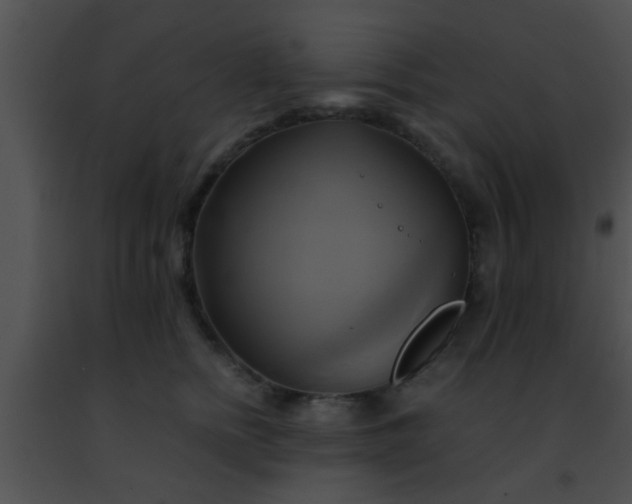 X0000091500758200708301958