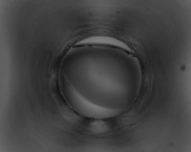 X0000091500759200708301958