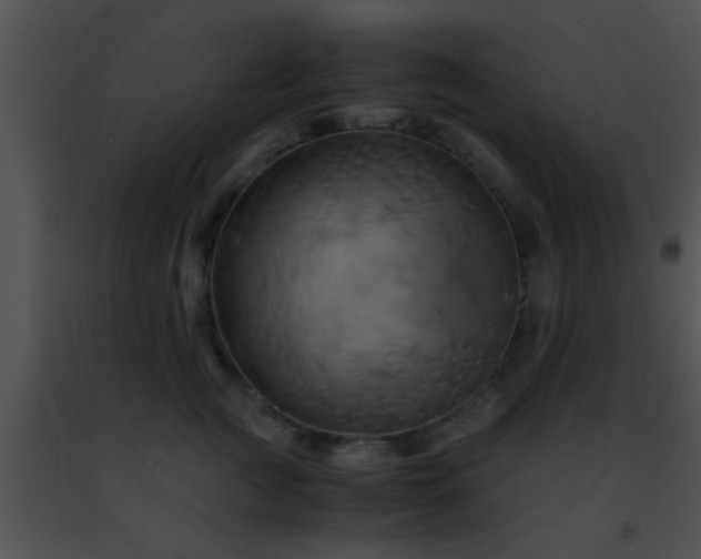 X0000091500761200708301958