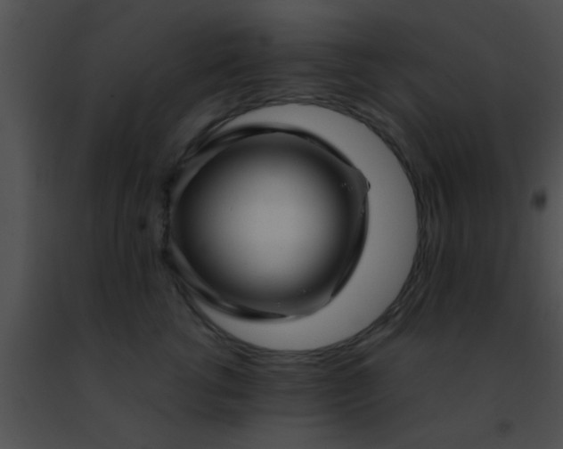 X0000091500762200708301958