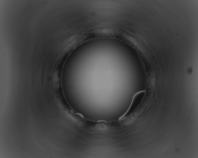 X0000091500764200708301958