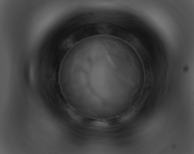 X0000091500765200708301958