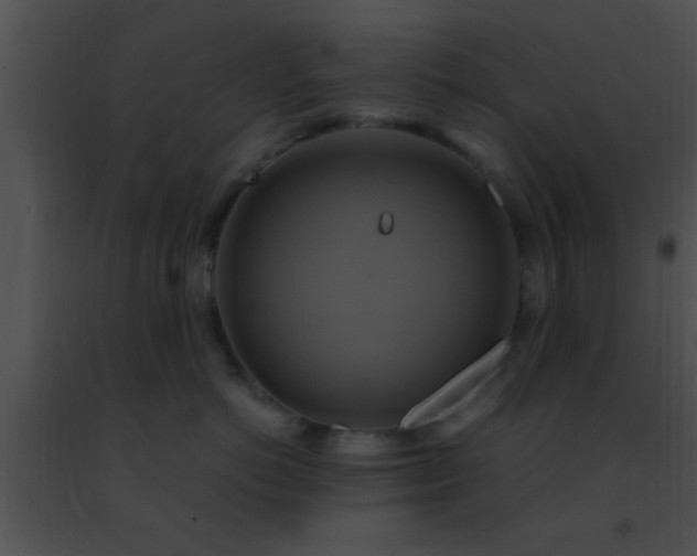 X0000091500766200708301958