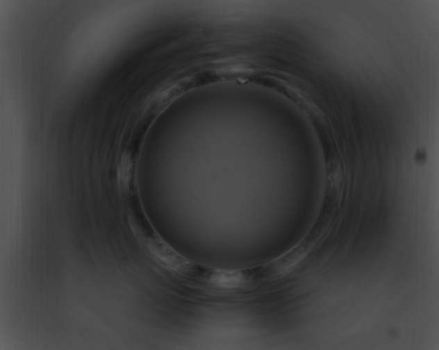 X0000091500767200708301958