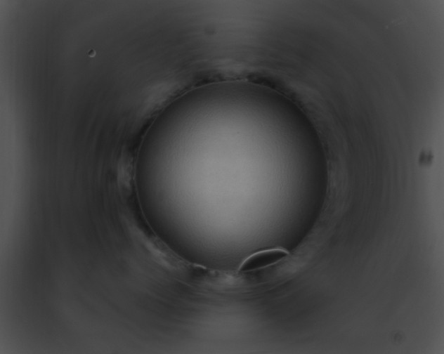 X0000091500768200708301958