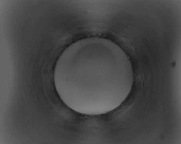 X0000091500769200708301957