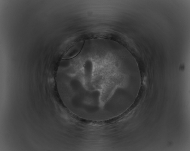 X0000091500771200708301957