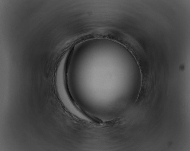 X0000091500773200708301957