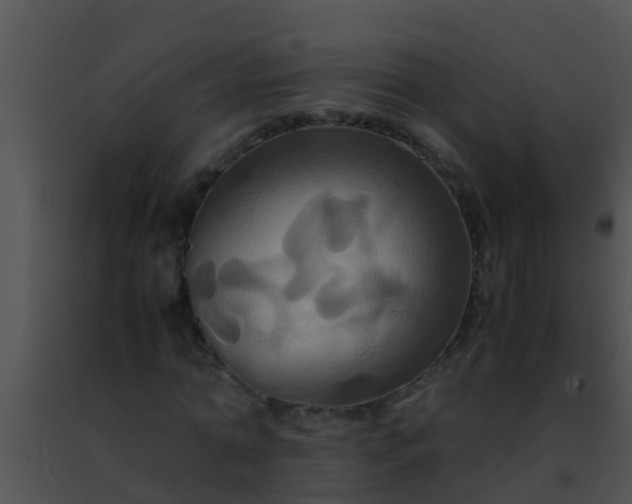 X0000091500774200708301957