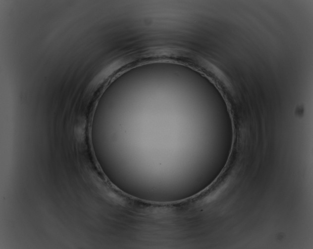 X0000091500778200708301957