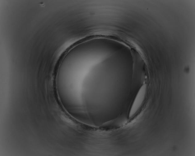 X0000091500779200708301957