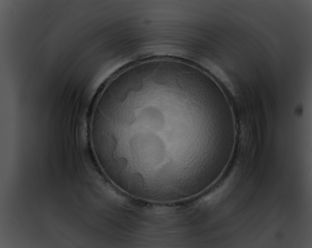 X0000091500782200708301957