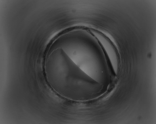 X0000091500783200708301957