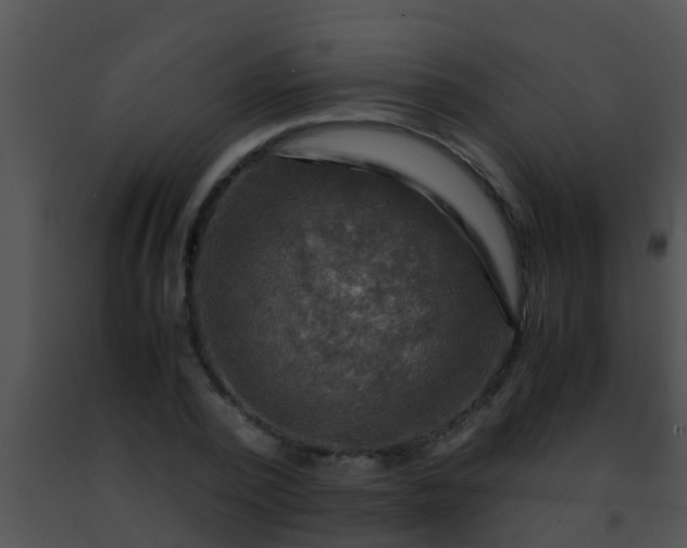 X0000091500784200708301957