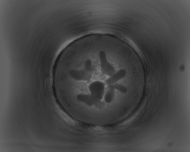 X0000091500787200708301957