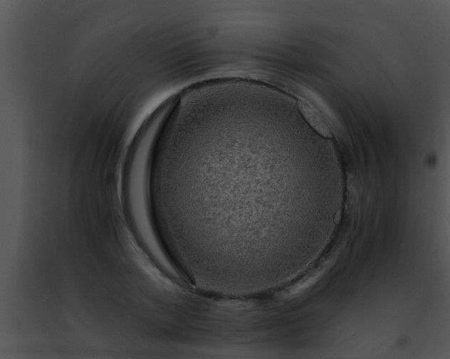 X0000091500788200708301957