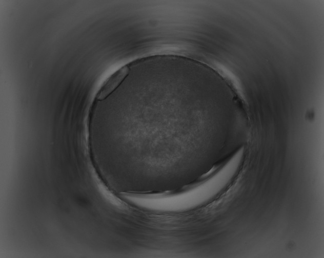 X0000091500792200708301957