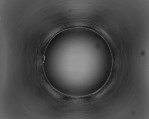 X0000091500793200708301957