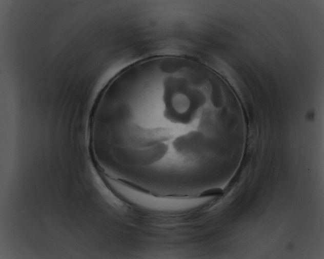 X0000091500795200708301957