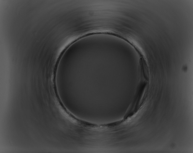 X0000091500797200708301957