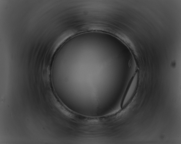 X0000091500798200708301956