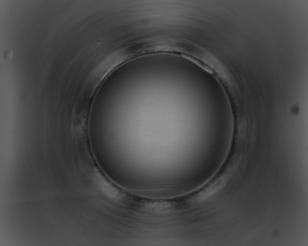 X0000091500801200708301956