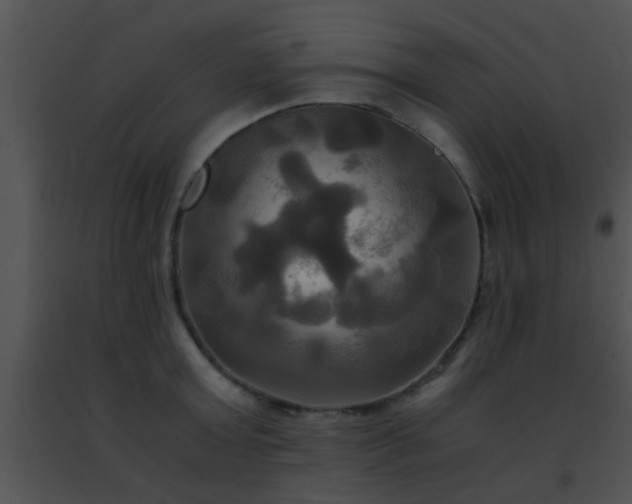 X0000091500803200708301956